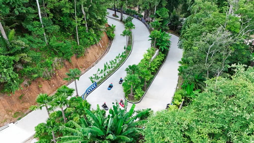 A winding luge track seen from above through dense green trees.