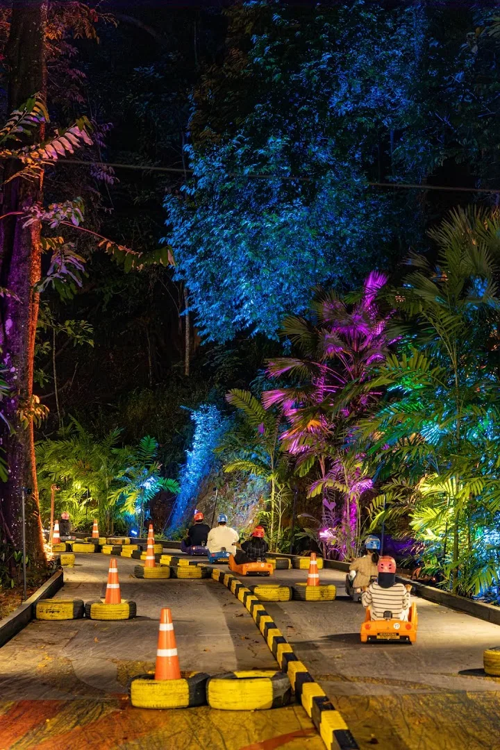 Helmeted luge riders on a track bordered by trees lit blue, pink and yellow at night.