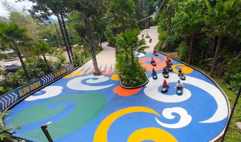 An elevated view of luge carts on a colourful bend surrounded by trees.